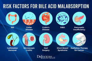 Bile Acid Imbalance: A Pathway to Liver Cancer Treatment